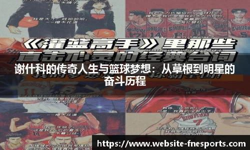 谢什科的传奇人生与篮球梦想：从草根到明星的奋斗历程